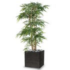 Bambou artificiel grosses cannes en pot h 175 cm vert - dimhaut: h 175 cm - coul