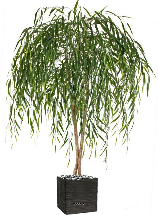Saule pleureur chinois artificiel en pot h 185 cm