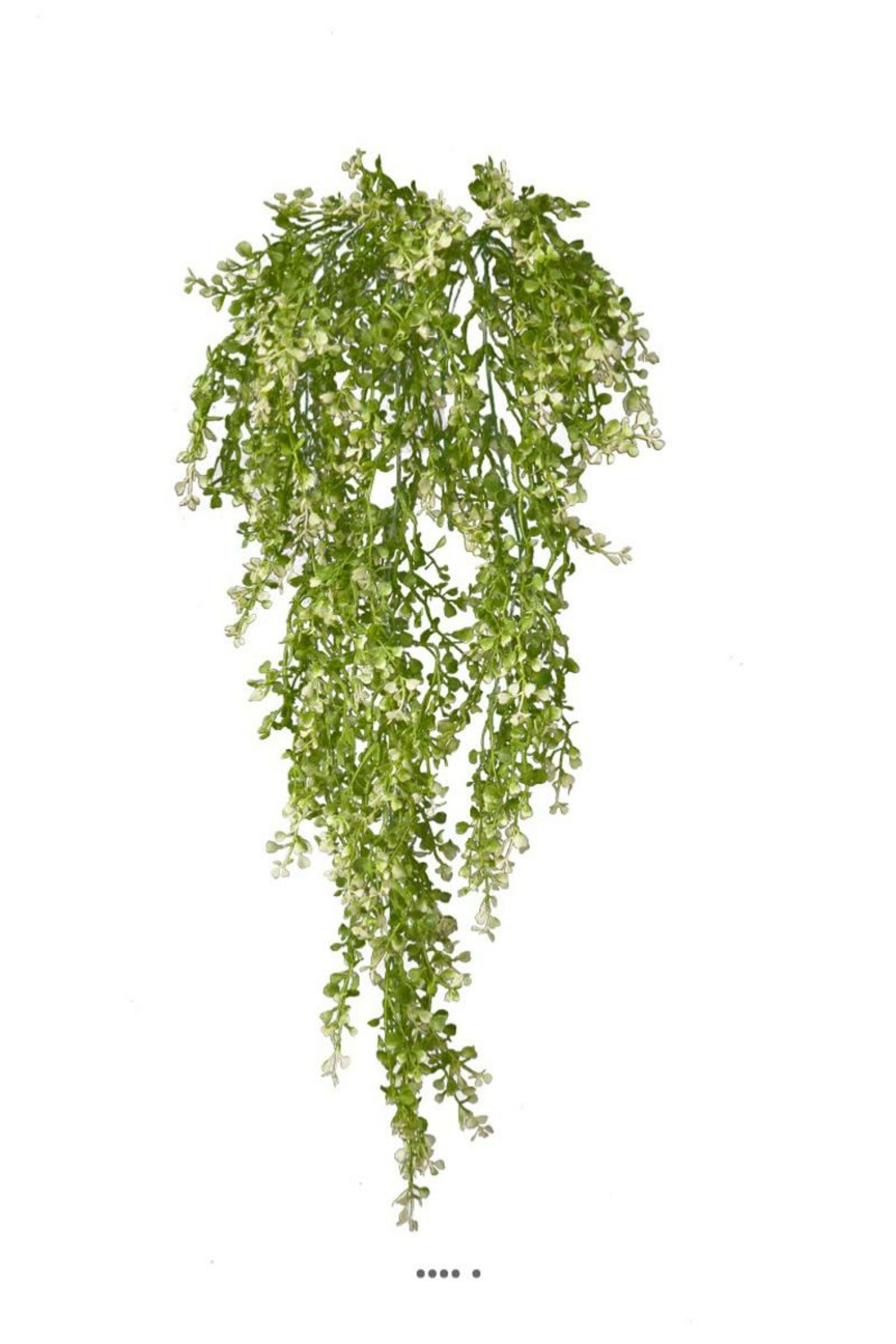 Chute de crassula artificiel h 85 cm