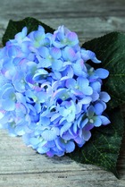Bouquet artificiel d'hortensia h 23 cm bleu pastel - couleur: bleu pastel