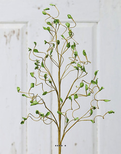 Branche de faux noisetier tortueux h 75 cm