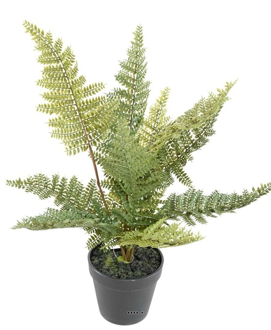 Fougère artificielle en pot h 45 cm