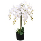 Plante artificielle avec pot orchidée 75 cm blanc