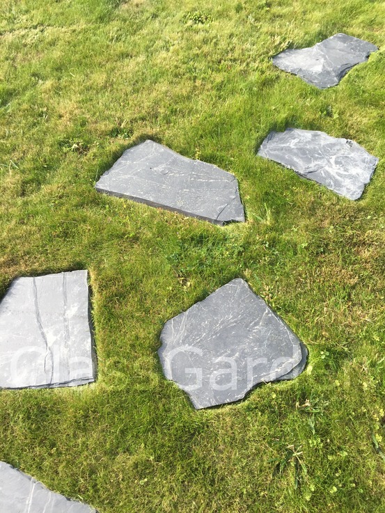 Pas japonais naturel - pack de 10 pièces