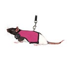 Harnais doux avec laisse 1,2 m pour rats - couleur aléatoire