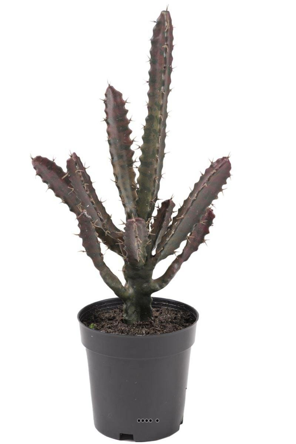 Cactus euphorbe factice en pot vert-rouge top qualité h45cm d20cm - dimhaut: h 4