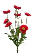 Pavots coquelicots artificiels en piquet 7 fleurs h35 cm d25 cm rouge - couleur: