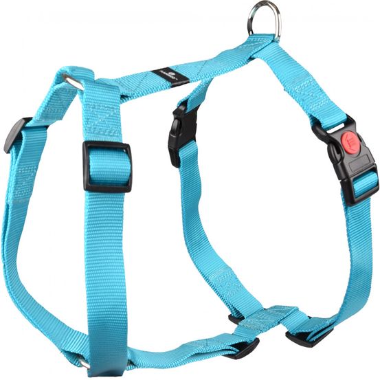 Harnais ziggi turquoise pour chien - Taille XXL