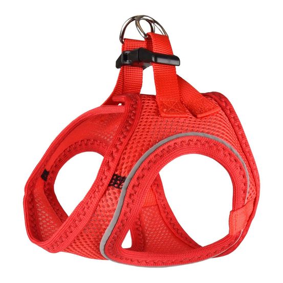 Harnais bento rouge s pour petit chien type teckel