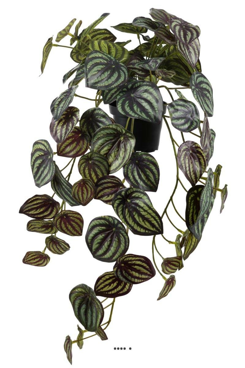 Pépéromia artificiel panaché h 20 cm l 45 cm en pot
