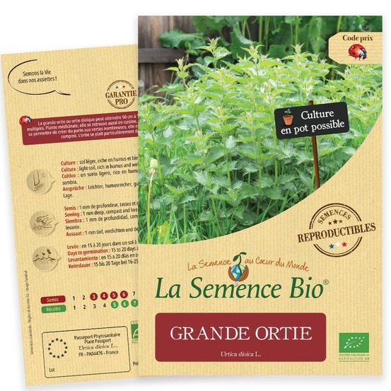 Grande ortie - graines bio