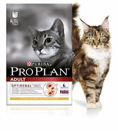 Croquettes chat adulte purina 10kg