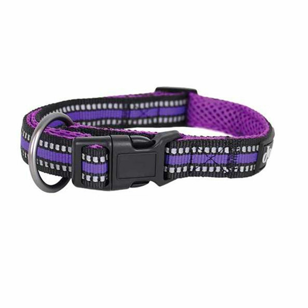 Collier chien violet sport doogy t s