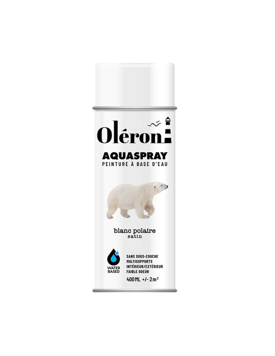 Aquaspray oléron blanc polaire peinture aérosol hydrosoluble blanc polaire satiné - technima