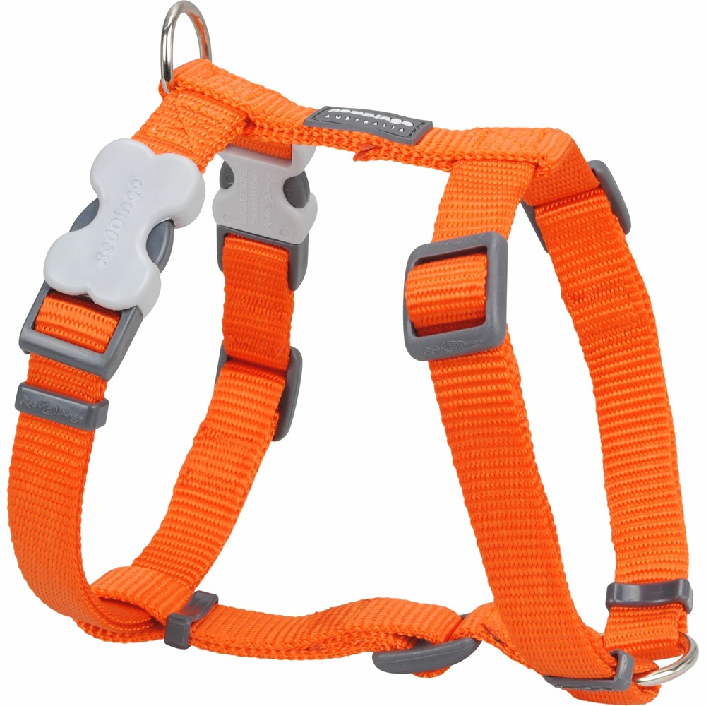 Harnais chien réglable red dingo basic orange taille : t2