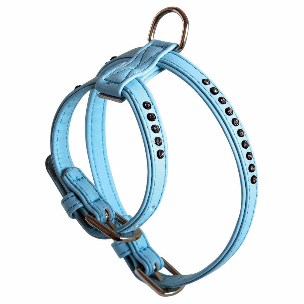 Harnais glamorous bleu taille : t2