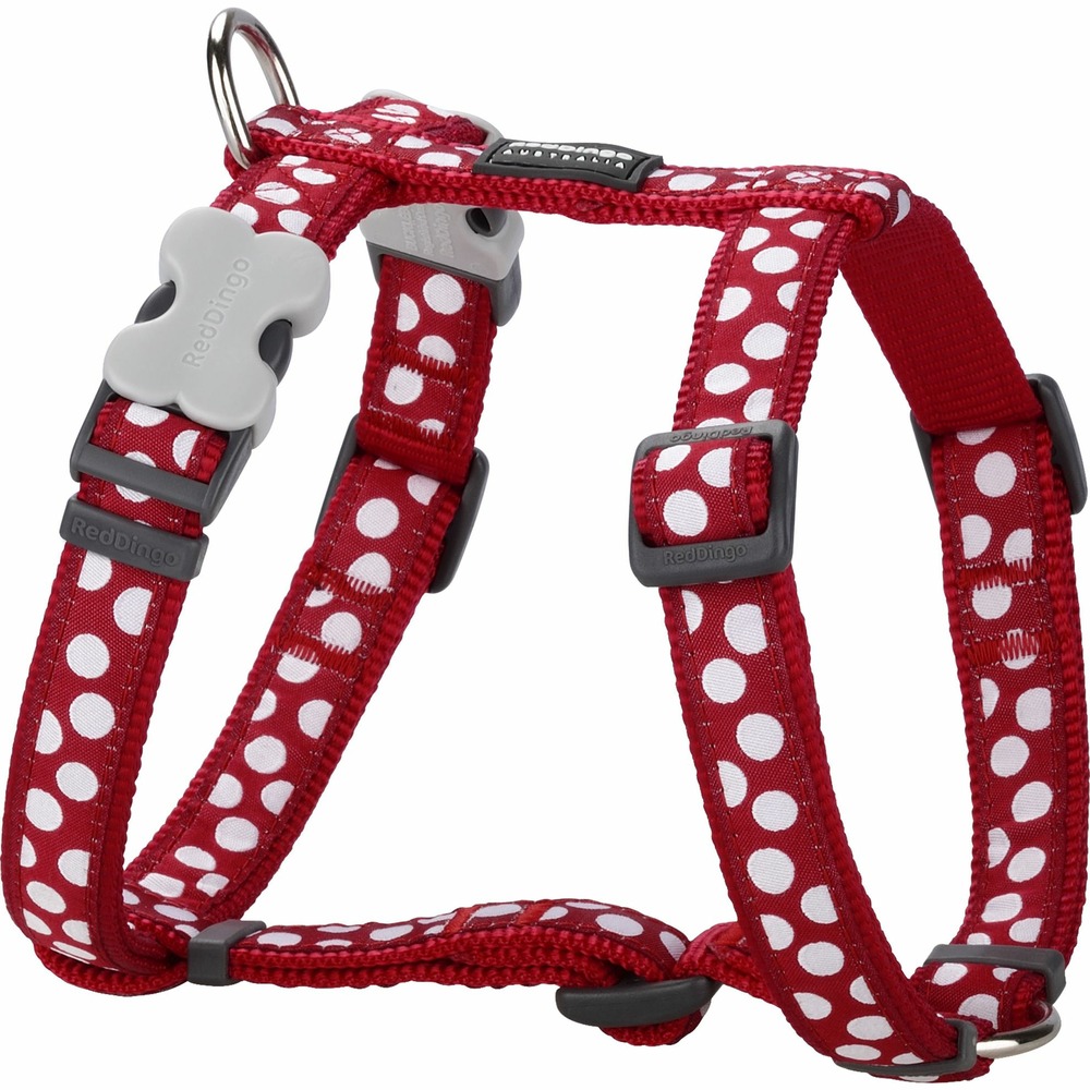 Harnais chien red dingo fantaisie rouge à pois blancs taille : t2
