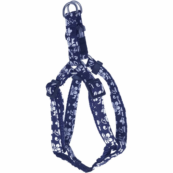 Harnais chien tahiti nylon bleu taille : s