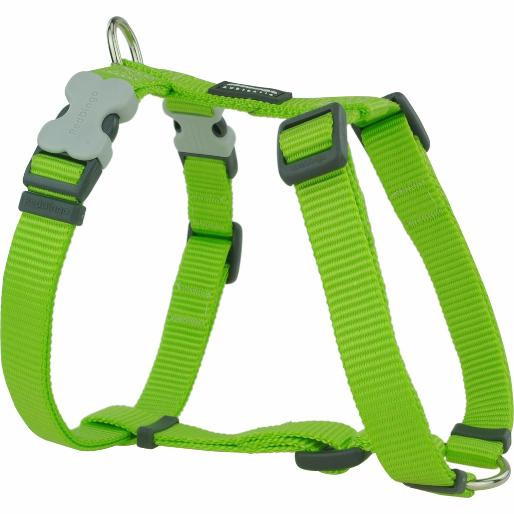 Harnais chien réglable red dingo basic vert taille : t3