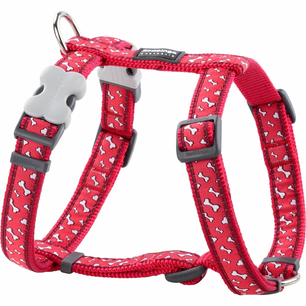 Harnais chien red dingo fantaisie rouge os taille : t2