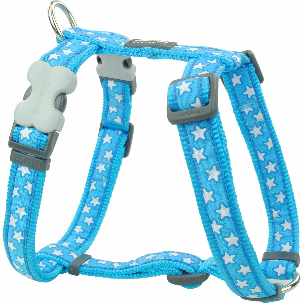 Harnais chien red dingo fantaisie bleu motifs étoiles taille : t2