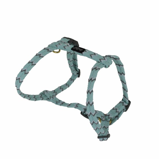 Harnais chien brasil turquoise doogy tm