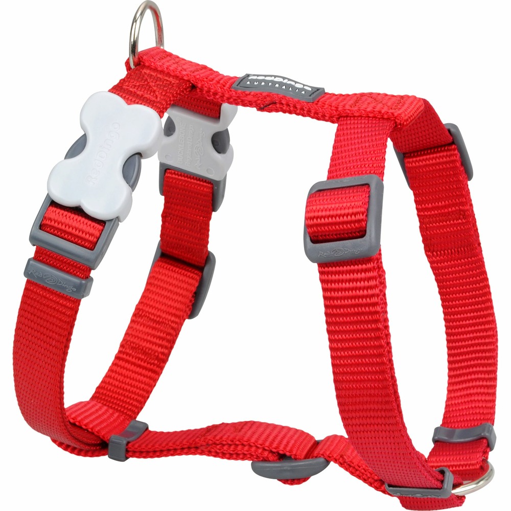 Harnais chien réglable red dingo basic rouge taille : t2
