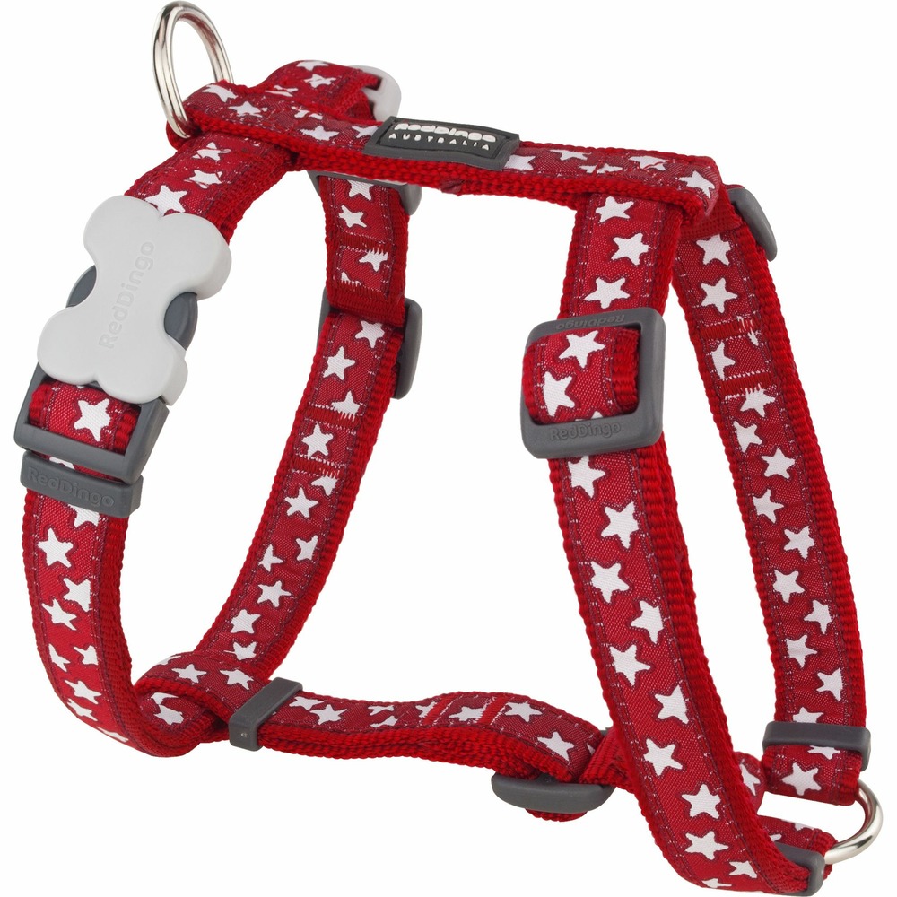 Harnais chien red dingo fantaisie rouge motifs étoiles taille : t4