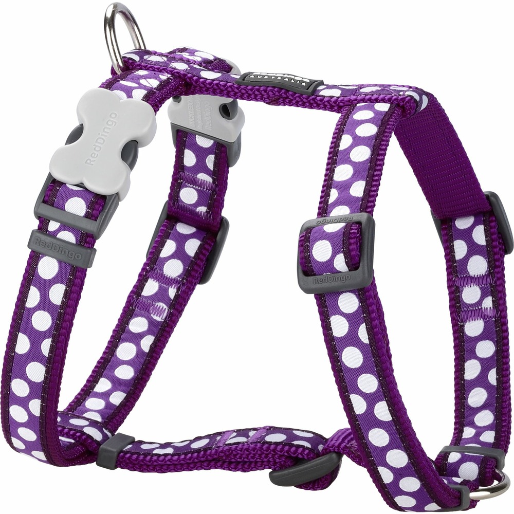Harnais chien red dingo fantaisie violet pois blanc taille : t2