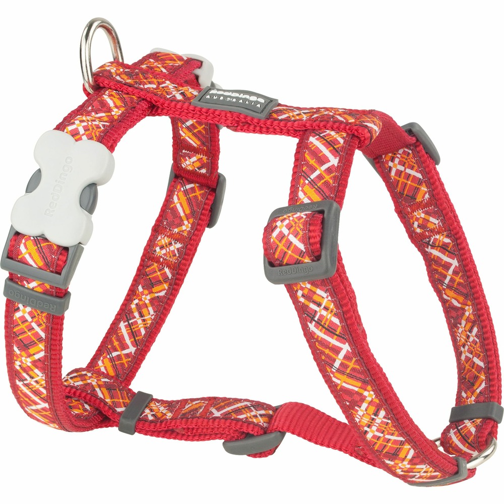 Harnais pour Chien Red Dingo 42-59 cm Orange S/M main image 0