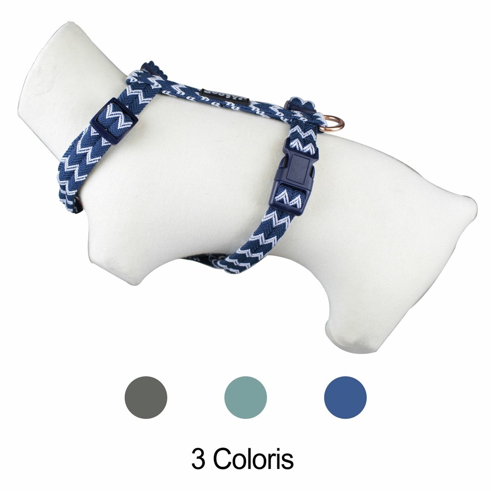 Harnais chien brasil bleu doogy t m