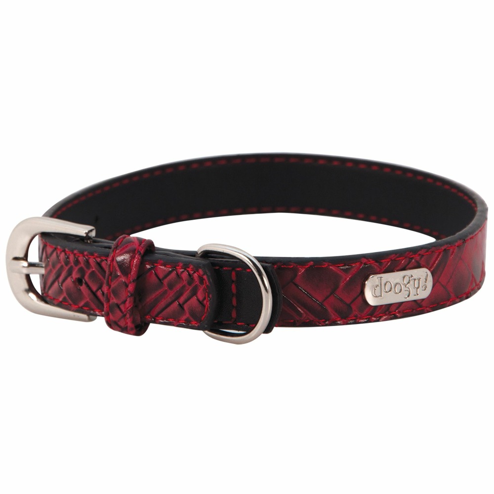 Collier chien dundee rouge taille : t1
