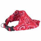 Collier chien bandana star rouge taille : t1