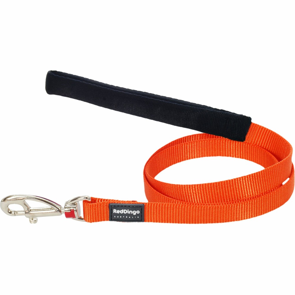 Laisse confort red dingo basic orange taille : t4