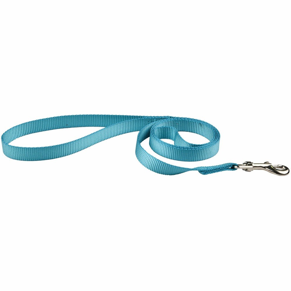 Laisse air mesh turquoise