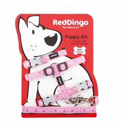 Pack chiot red dingo fantaisie :  rose