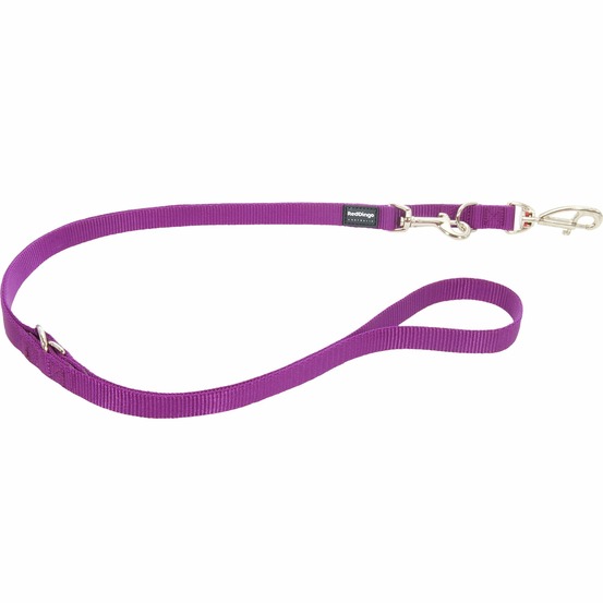 Laisse 3 positions red dingo basic violette taille : t3