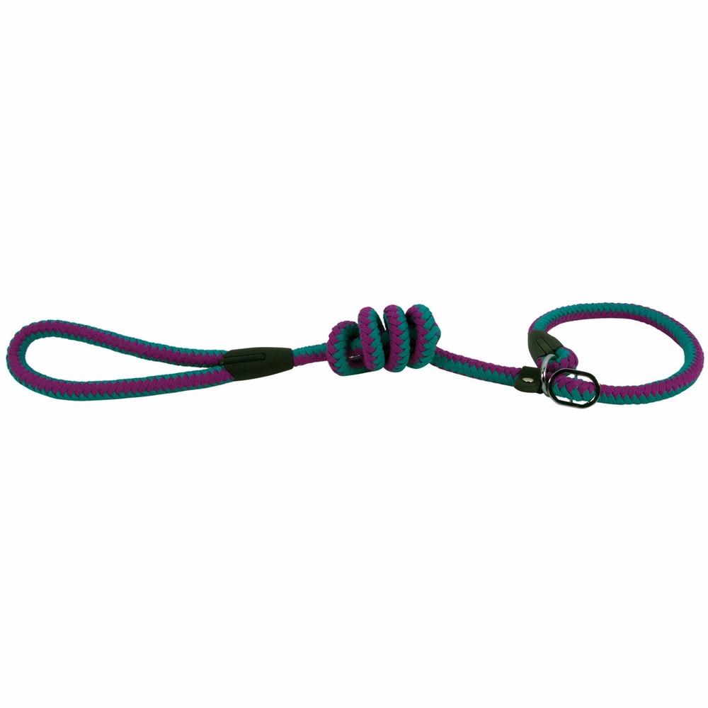 Laisse lasso corde fluo turquoise et violet taille : t3