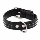 Collier chien glamorous noir 2 rang taille : t1