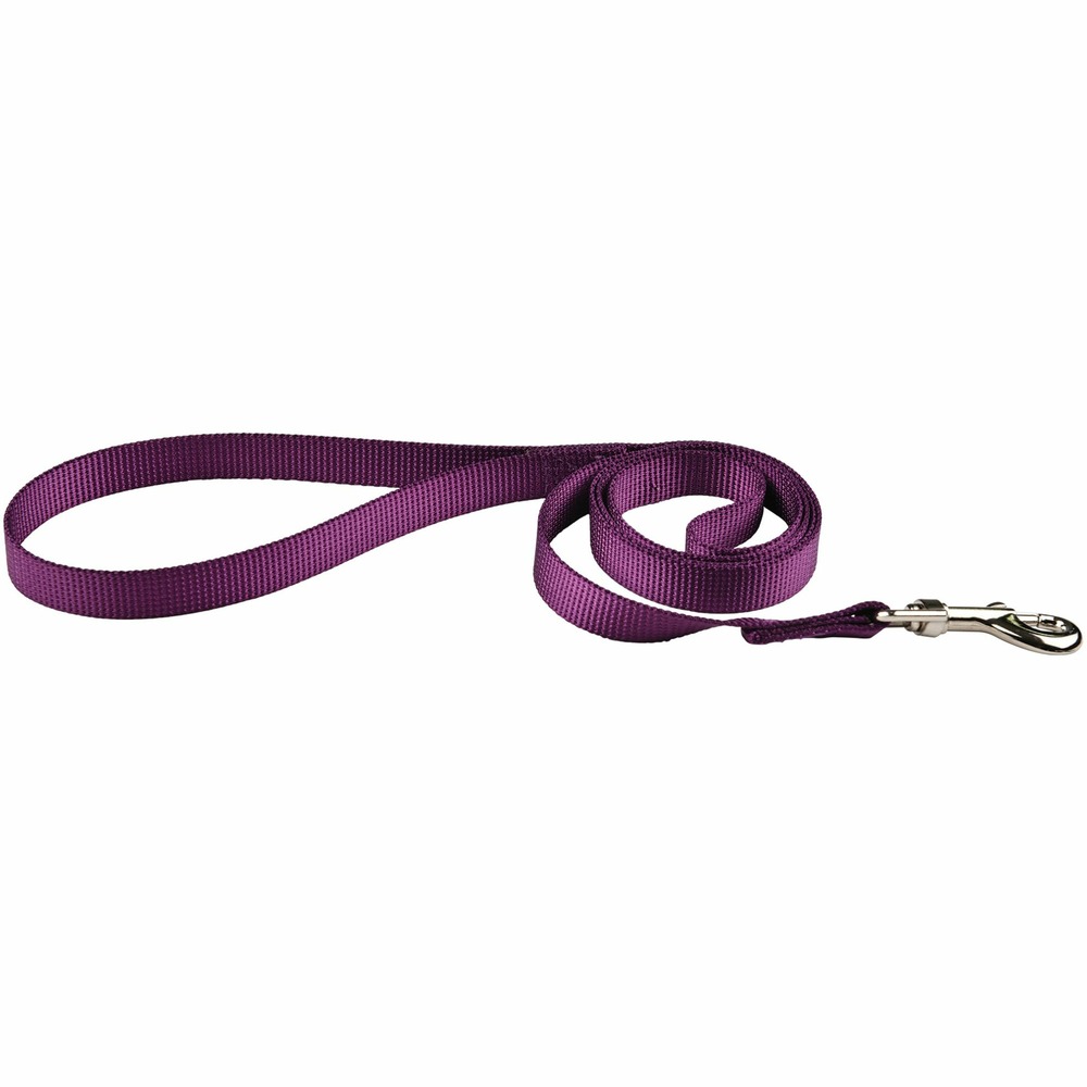 Laisse air mesh violet