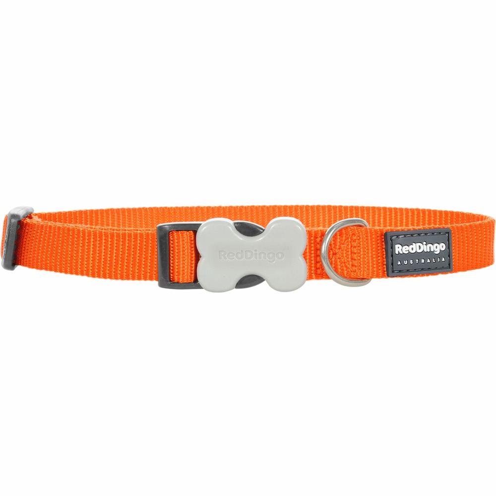Collier chien réglable red dingo basic orange taille : t1