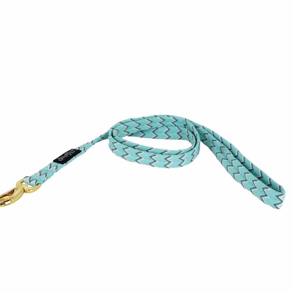 Laisse nylon turquoise brasil doogy