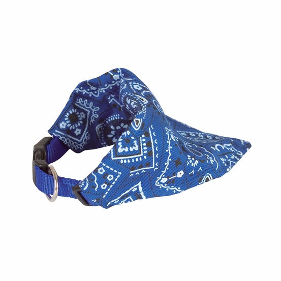 Collier chien bandana star bleu taille : t1