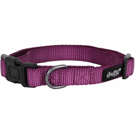 Collier nylon chien classica violet doogy t s