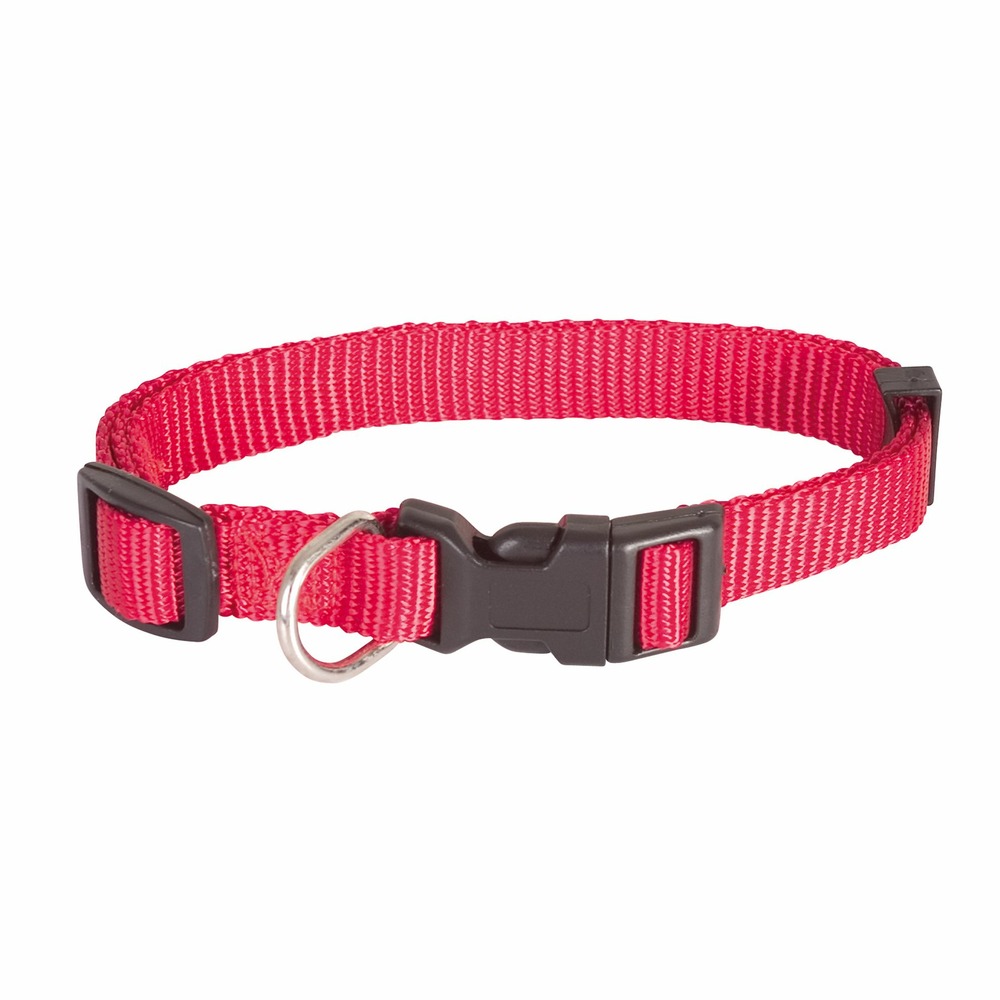 Collier simple rouge essentiel doogy taille : t1