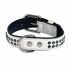 Collier chien glamorous blanc 2 rang taille : t2