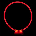 Collier red dingo lumineux "lumitube" couleur : rouge
