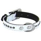 Collier chien glamorous blanc 1 rang taille : t1