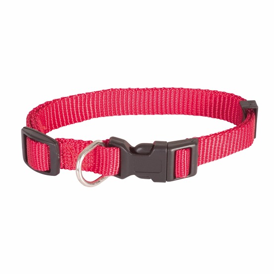 Collier simple rouge essentiel doogy taille : t2