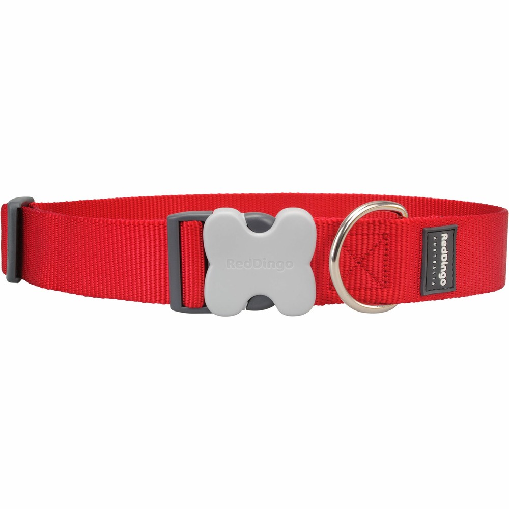 Collier réglable red dingo basic - gros chiens - couleur : rouge